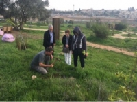 Preminger - South - Jerusalem - Gazelle Valley b